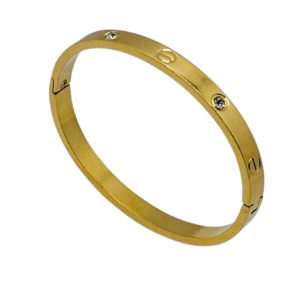 Everyday Elegant Bracelet By Just Jewel